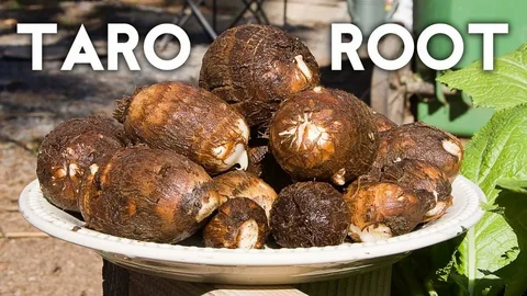 Taro Root